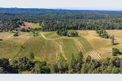 16915 Red Mule Road, Fiddletown, CA 95629 - Photo 58