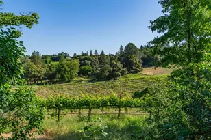 16915 Red Mule Rd, Fiddletown, CA 95629 - Photo 60