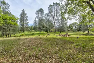 5196 Stagecoach Hill, Mountain Ranch, CA 95246 - Photo 60