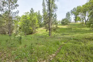 5196 Stagecoach Hill, Mountain Ranch, CA 95246 - Photo 56