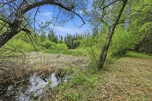 6169 Sweeney Rd, Somerset, CA 95684 - Photo 54