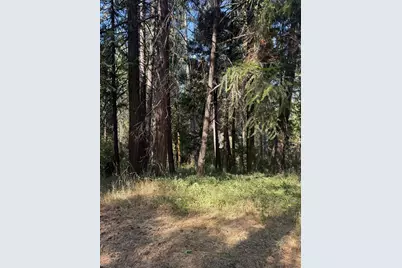 4920 Arctic Lane, Grizzly Flats, CA 95684 - Photo 22