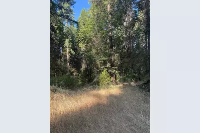 4920 Arctic Lane, Grizzly Flats, CA 95684 - Photo 20