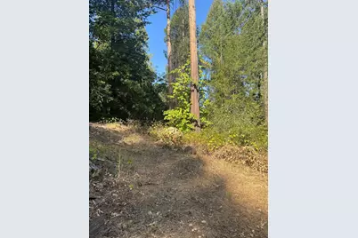 4920 Arctic Lane, Grizzly Flats, CA 95684 - Photo 16