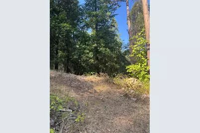 4920 Arctic Lane, Grizzly Flats, CA 95684 - Photo 18