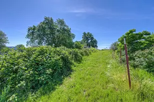 3303 W Cherry Acres Rd, Cool, CA 95614 - Photo 80