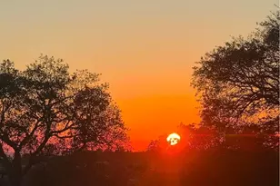 18115 Burke Dr, Plymouth, CA 95669 - Photo 62