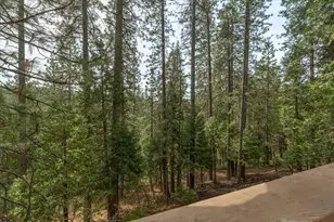 1856 Anna Lee Way, Arnold, CA 95223 - Photo 36