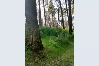 0 Shadow Pine Road, Mountain Ranch, CA 95246 - Photo 2