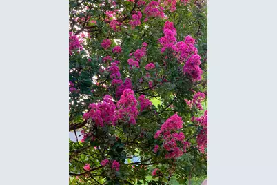 4033 Cayente Way, Sacramento, CA 95864 - Photo 98