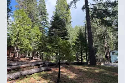 1510 Pawnee Drive, Dorrington, CA 95223 - Photo 6