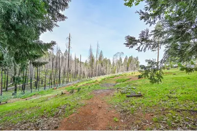 5194 Woodhaven, Grizzly Flats, CA 95636 - Photo 1