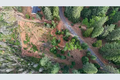 5194 Woodhaven, Grizzly Flats, CA 95636 - Photo 2