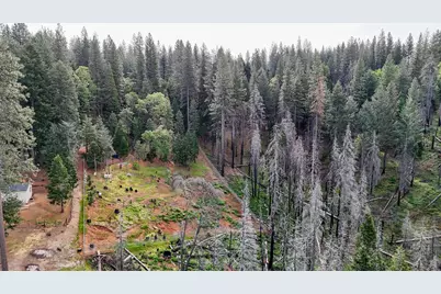 5194 Woodhaven, Grizzly Flats, CA 95636 - Photo 18