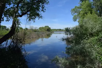 3869 River Road, Colusa, CA 95932 - Photo 8