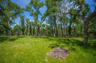 5885 Johnson Dr, Lincoln, CA 95648 - Photo 6