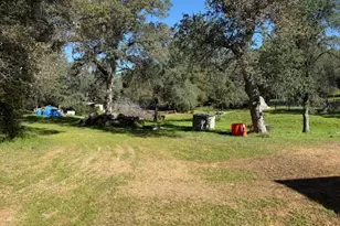 4565 Morgan Rd, Angels Camp, CA 95222 - Photo 6
