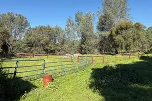 4565 Morgan Rd, Angels Camp, CA 95222 - Photo 16