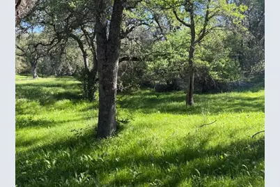 4565 Morgan Road, Angels Camp, CA 95222 - Photo 22