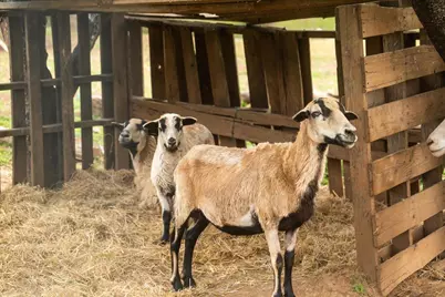 12242 Woodacre Road, Grass Valley, CA 95949 - Photo 40