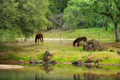 12242 Woodacre Road, Grass Valley, CA 95949 - Photo 34