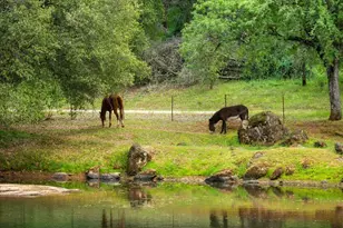 12242 Woodacre Rd, Grass Valley, CA 95949 - Photo 34