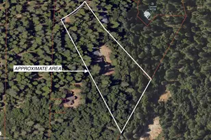 16150 Pinewood Dr, Pioneer, CA 95666 - Photo 74