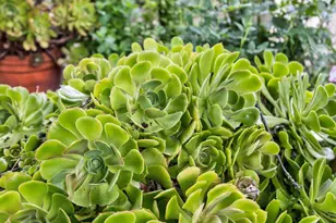 35670 Yellowstone Ave, Davis, CA 95616 - Photo 30