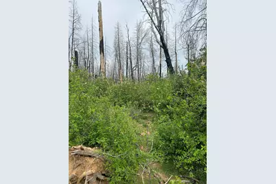 83 Oak Tree Lnae, Berry Creek, CA 95916 - Photo 8