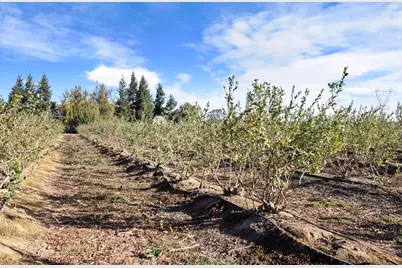 5288 W Kile, Lodi, CA 95242 - Photo 38