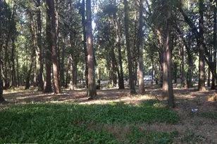 13004 Somerset Dr, Grass Valley, CA 95945 - Photo 1