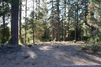651 Chief Kelly Drive, Nevada City, CA 95959 - Photo 1