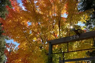 526 Mill St, Grass Valley, CA 95945 - Photo 76