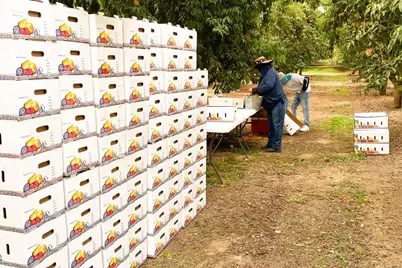 10464 State Highway 70, Marysville, CA 95901 - Photo 12