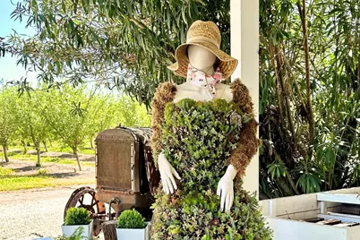 10464 State Highway 70, Marysville, CA 95901 - Photo 20