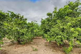 8066 Larkin Rd, Live Oak, CA 95953 - Photo 26