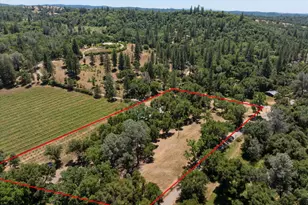 13885 Wilma Ct, Fiddletown, CA 95629 - Photo 2