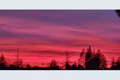 13080 Twin Pines Road, Sutter Creek, CA 95685 - Photo 96