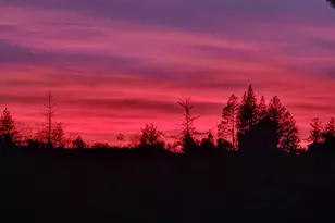 13080 Twin Pines Rd, Sutter Creek, CA 95685 - Photo 96