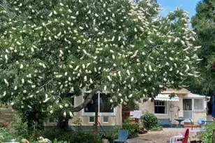 15579 Jesus Maria, Mokelumne Hill, CA 95245 - Photo 92