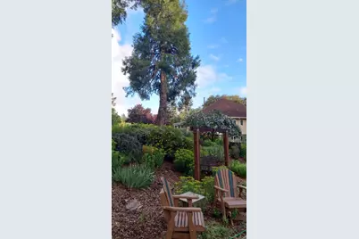 15579 Jesus Maria, Mokelumne Hill, CA 95245 - Photo 84