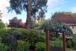 15579 Jesus Maria, Mokelumne Hill, CA 95245 - Photo 84