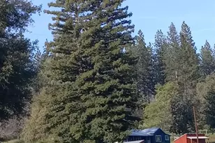 15579 Jesus Maria, Mokelumne Hill, CA 95245 - Photo 82