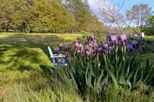 15579 Jesus Maria, Mokelumne Hill, CA 95245 - Photo 88