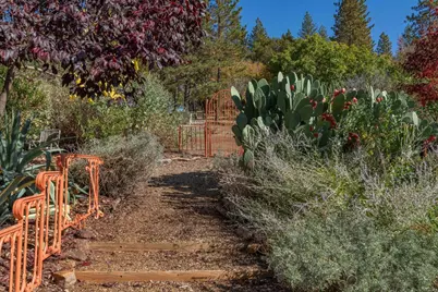 15579 Jesus Maria, Mokelumne Hill, CA 95245 - Photo 40