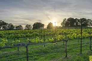 7505 Wise Rd, Auburn, CA 95603 - Photo 52