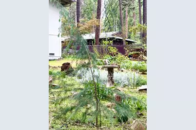 12894 Banner Lava Cap Road, Nevada City, CA 95959 - Photo 28