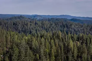 2041 Baywood View, Arnold, CA 95223 - Photo 62