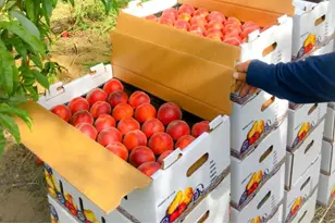 10464 State Hwy 70, Marysville, CA 95901 - Photo 32