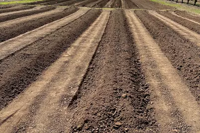 10464 State Highway 70, Marysville, CA 95901 - Photo 38